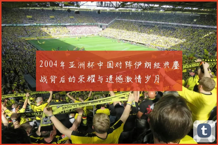 2004年亚洲杯中国对阵伊朗经典鏖战背后的荣耀与遗憾激情岁月