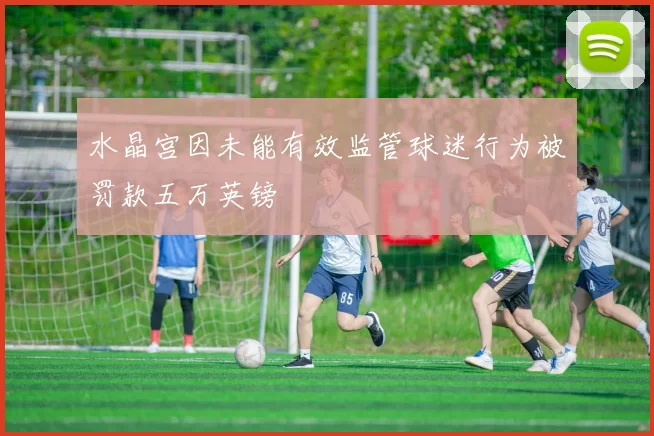 水晶宫因未能有效监管球迷行为被罚款五万英镑
