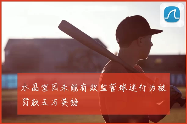 水晶宫因未能有效监管球迷行为被罚款五万英镑