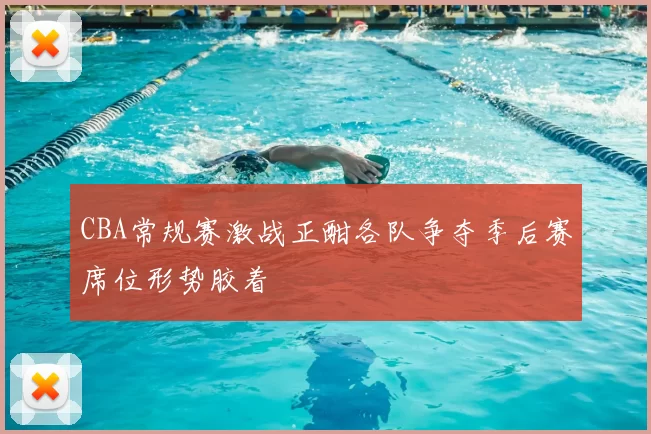 CBA常规赛激战正酣各队争夺季后赛席位形势胶着