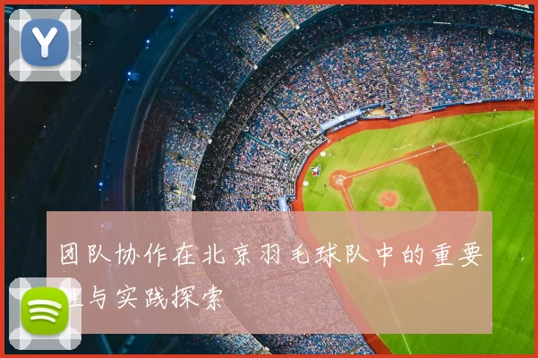 团队协作在北京羽毛球队中的重要性与实践探索