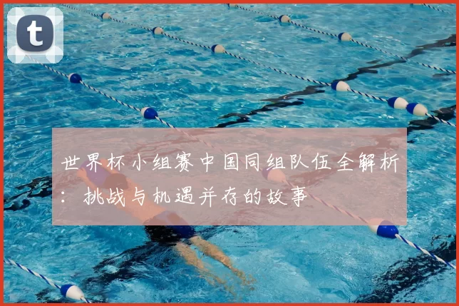 世界杯小组赛中国同组队伍全解析：挑战与机遇并存的故事