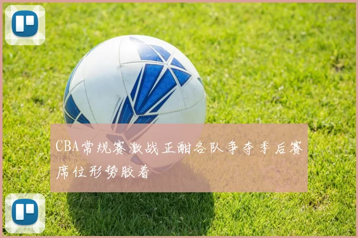 CBA常规赛激战正酣各队争夺季后赛席位形势胶着