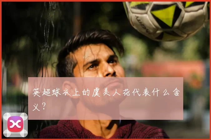 英超球衣上的虞美人花代表什么含义？
