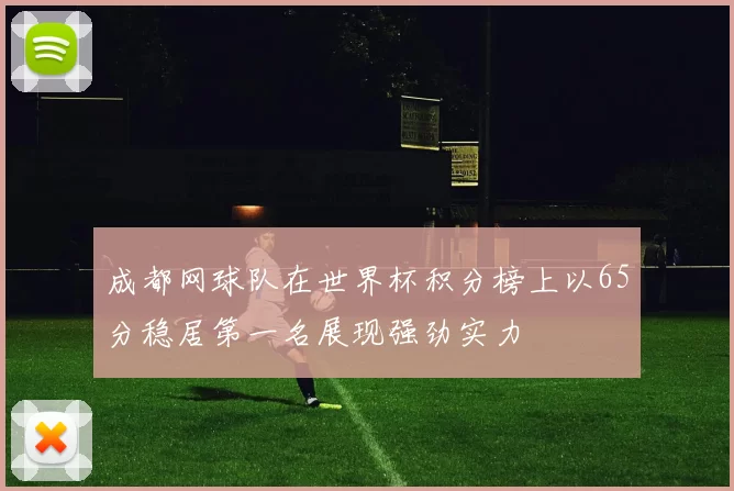 成都网球队在世界杯积分榜上以65分稳居第一名展现强劲实力