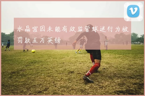水晶宫因未能有效监管球迷行为被罚款五万英镑