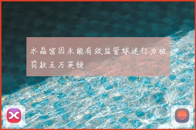 水晶宫因未能有效监管球迷行为被罚款五万英镑