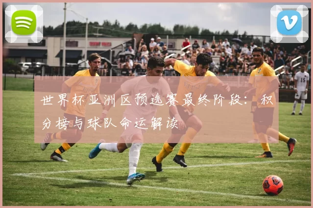 世界杯亚洲区预选赛最终阶段:积分榜与球队命运解读