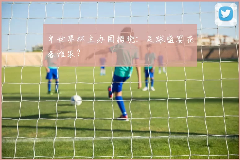 年世界杯主办国揭晓：足球盛宴花落谁家？