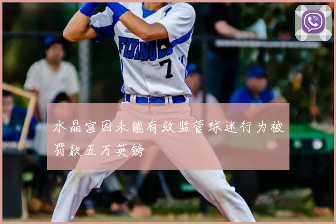 水晶宫因未能有效监管球迷行为被罚款五万英镑