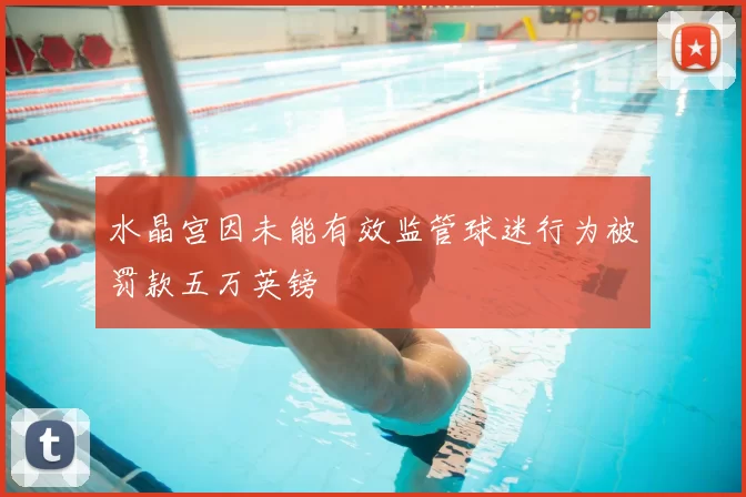 水晶宫因未能有效监管球迷行为被罚款五万英镑