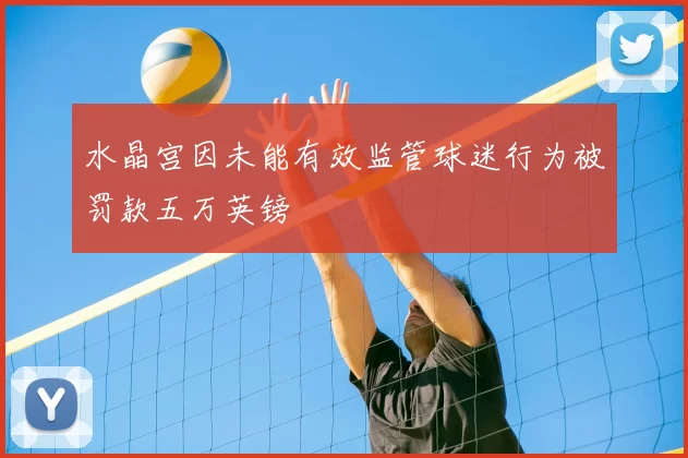 水晶宫因未能有效监管球迷行为被罚款五万英镑