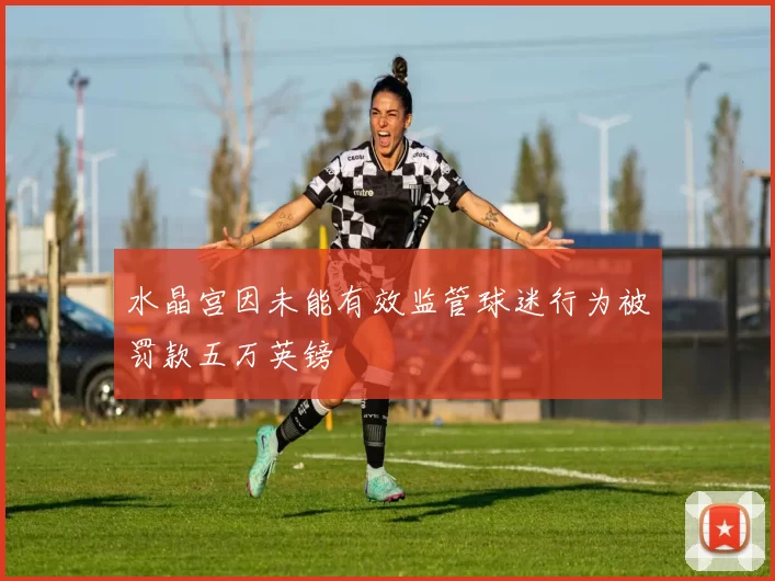 水晶宫因未能有效监管球迷行为被罚款五万英镑