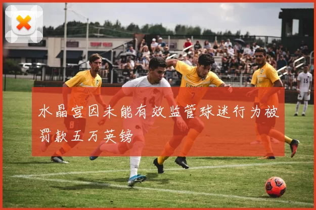 水晶宫因未能有效监管球迷行为被罚款五万英镑