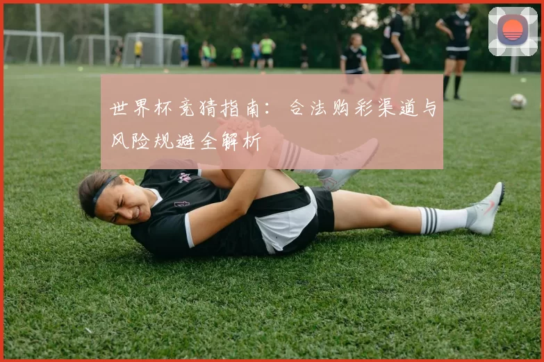 世界杯竞猜指南:合法购彩渠道与风险规避全解析