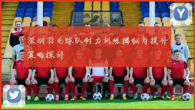 深圳羽毛球队耐力训练揭秘与提升策略探讨
