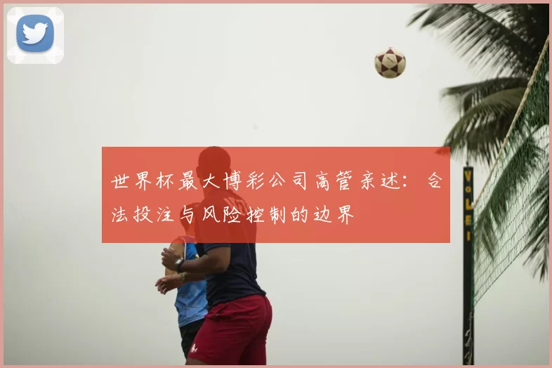 世界杯最大博彩公司高管亲述:合法投注与风险控制的边界