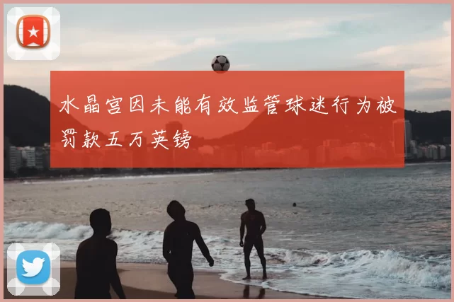 水晶宫因未能有效监管球迷行为被罚款五万英镑