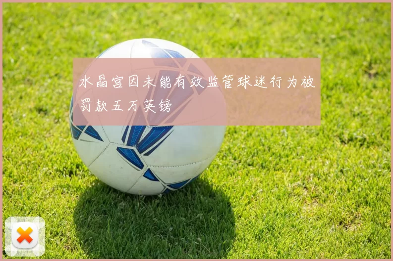 水晶宫因未能有效监管球迷行为被罚款五万英镑