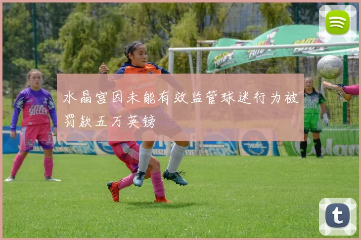 水晶宫因未能有效监管球迷行为被罚款五万英镑