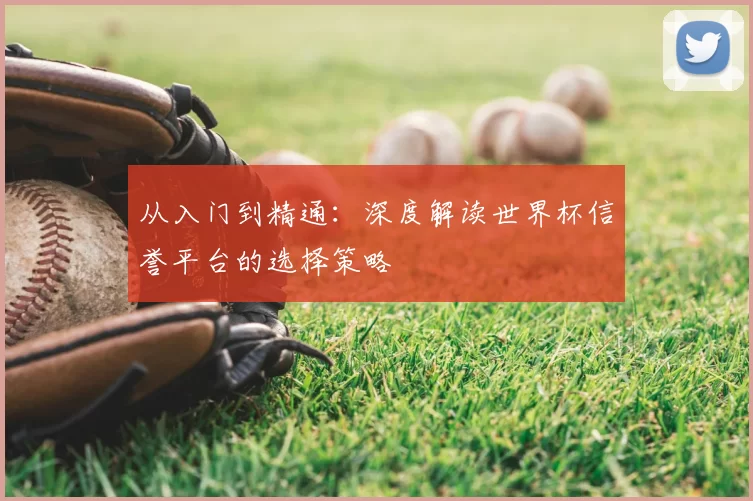 从入门到精通:深度解读世界杯信誉平台的选择策略