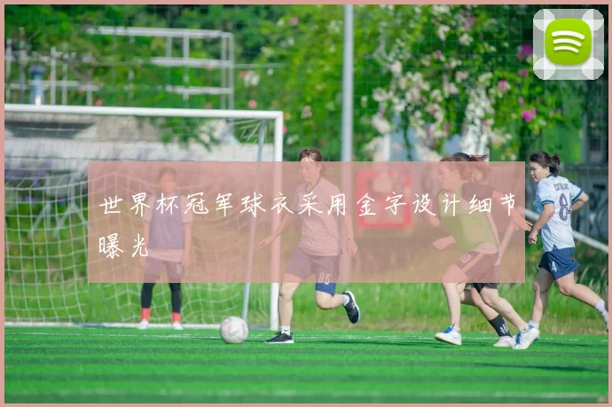世界杯冠军球衣采用金字设计细节曝光
