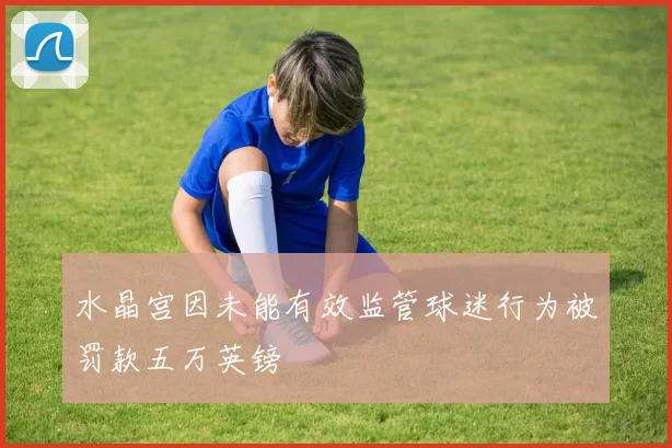 水晶宫因未能有效监管球迷行为被罚款五万英镑