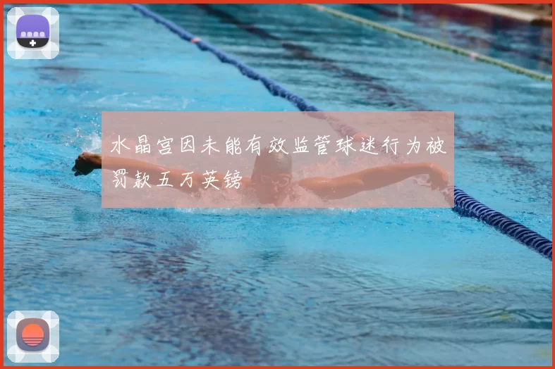水晶宫因未能有效监管球迷行为被罚款五万英镑