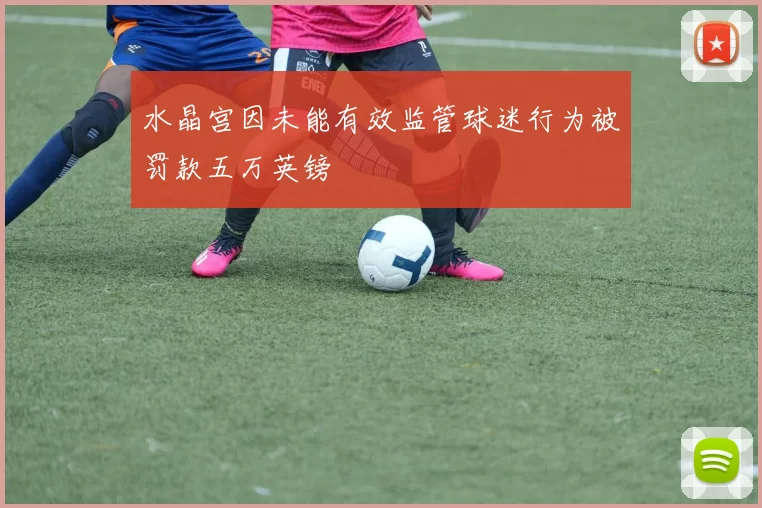 水晶宫因未能有效监管球迷行为被罚款五万英镑