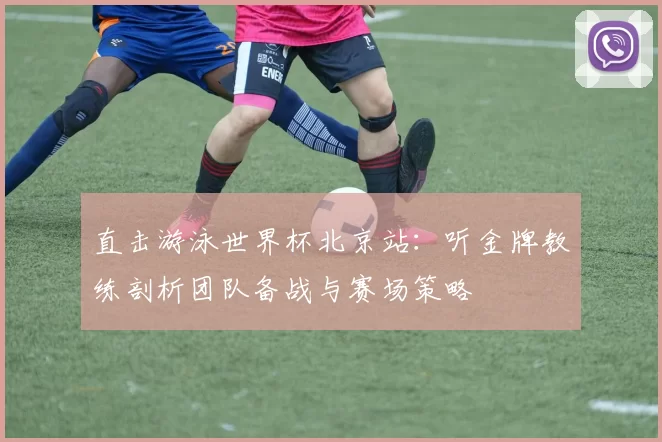 直击游泳世界杯北京站：听金牌教练剖析团队备战与赛场策略