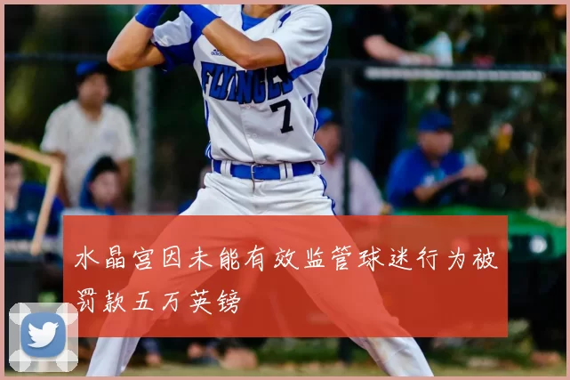 水晶宫因未能有效监管球迷行为被罚款五万英镑